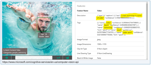 图4 微软认知服务计算机视觉API——Image Caption