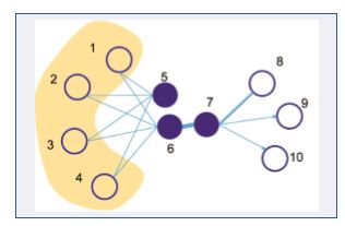 图2 节点的一阶结构和二阶结构。节点5和6的二阶 结构可以通过邻居节点1,2,3,4反应，节点6和7 的直接连接可认为是一阶结构