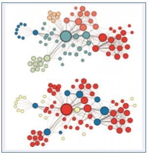图4 不同随机游走策略所反应出的不同结构信息， 上图反应了网络的同质性，下图反应了节点的 结构等同性