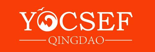 ccf yocsef logo